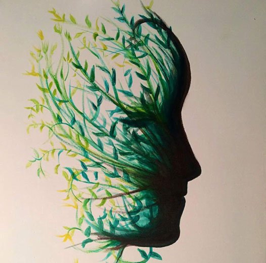 Shahin Kimiagar, Untitled, 0