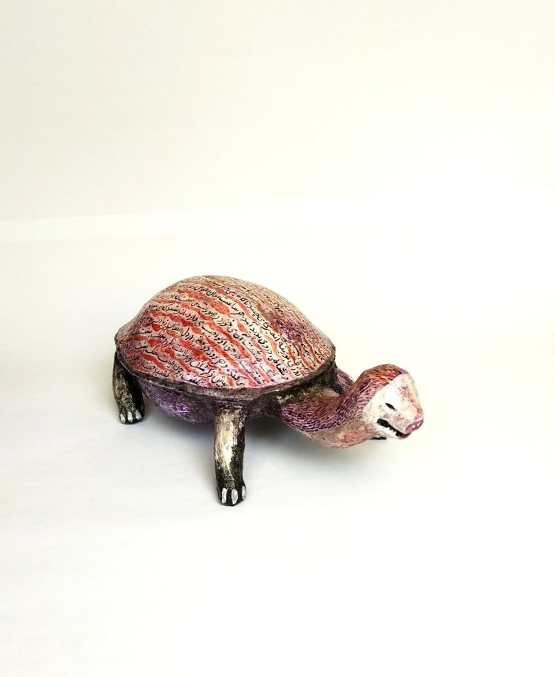 Noushin Vedaei, Turtle, 0