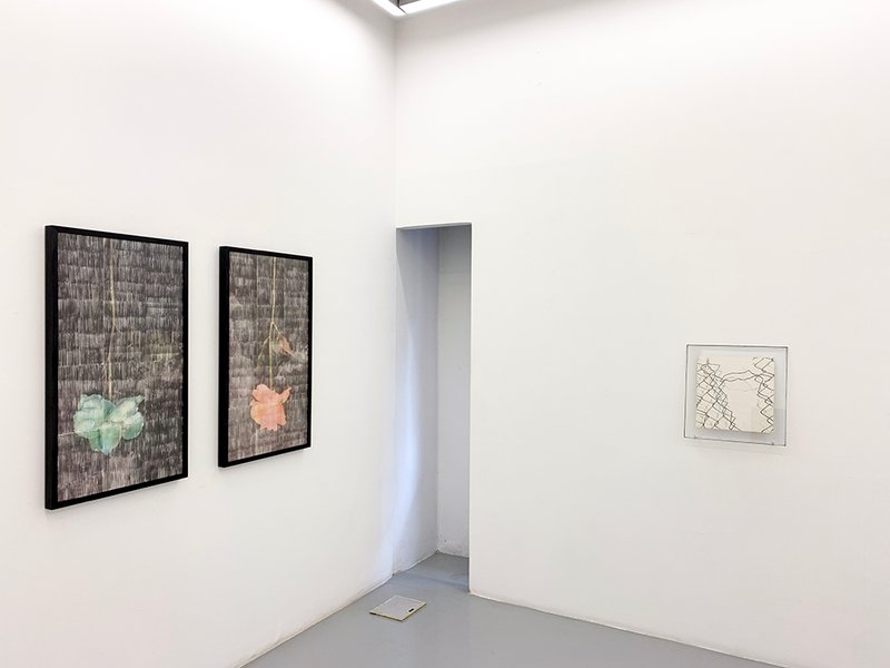 Photogenic, installation view