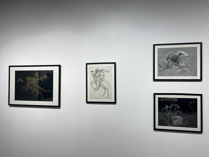 Installation view.