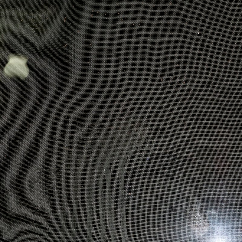 Mehran Mohajer, Trace of Light, 2018