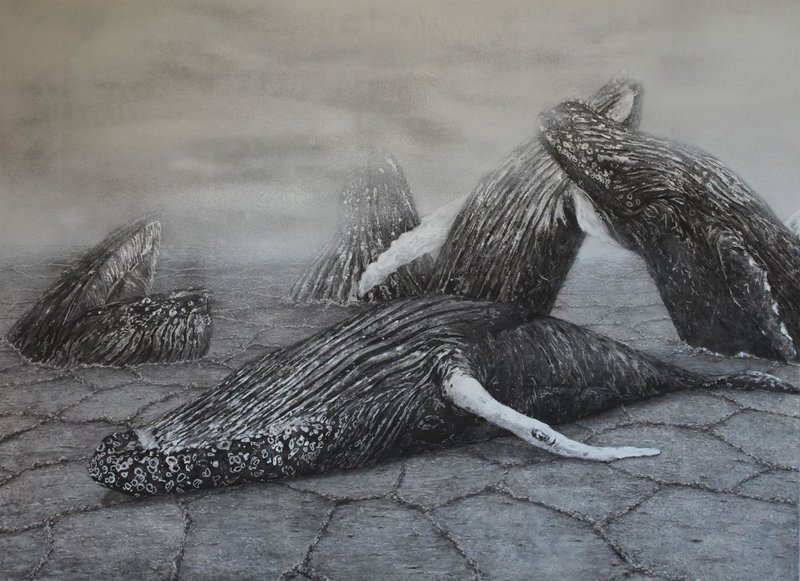 Bahar Didgah, Untitled, 2020
