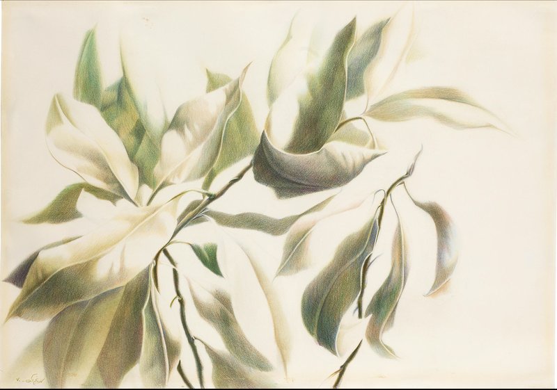 Kaveh Najmabadi, Untitled, 0