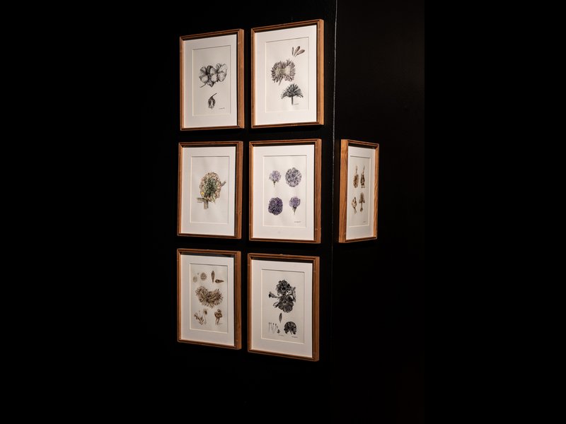 Locus, installation view