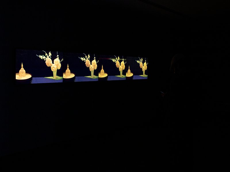 Muse-um, installation view