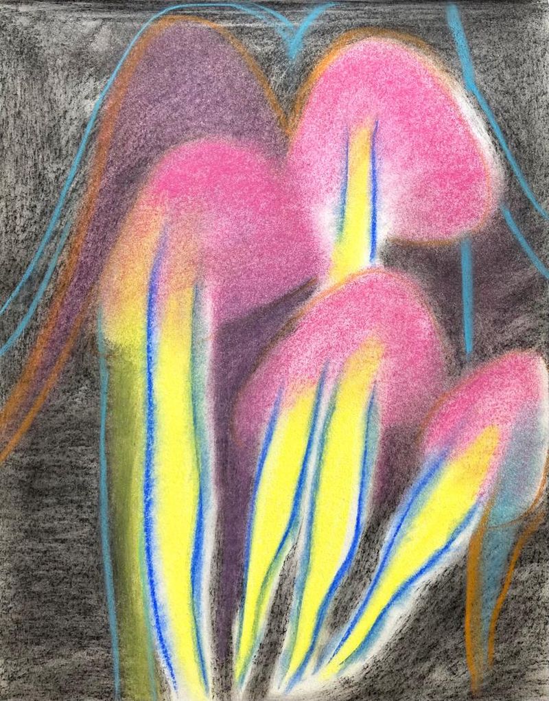 Mahsa Mohammadi, Untitled, 2026