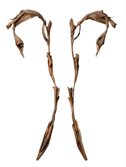 Reyhaneh Afzalian, Untitled, 2026
