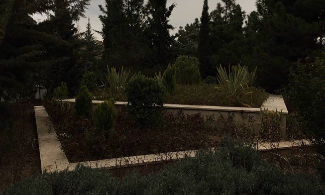 Siavash Khaef, Untitled, 0