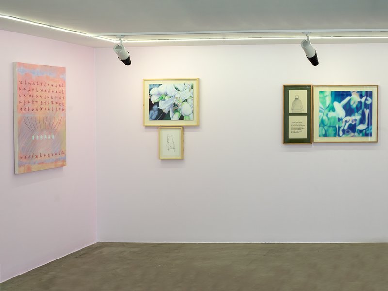 Sugar in the Basement, installation view