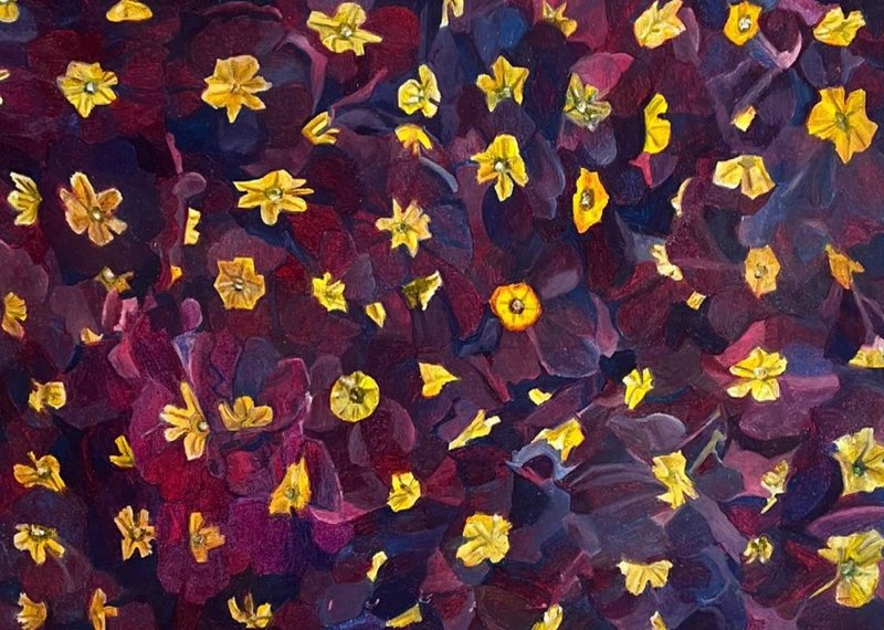 Farina Bayat, Violet Primroses, 2025