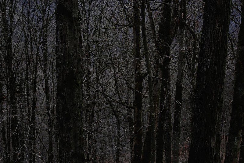 Mina Boroomand, Untitled, 2019