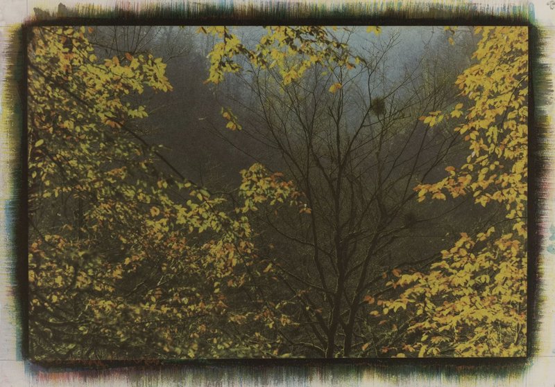 Mehrali Razaghmanesh, Untitled, 2020