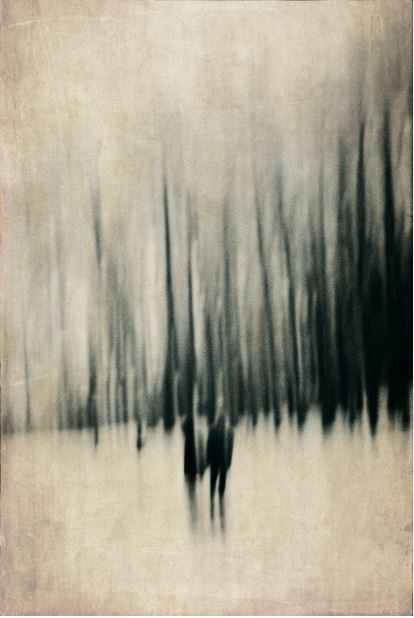 Siavash Sadrazodi, Untitled, 0