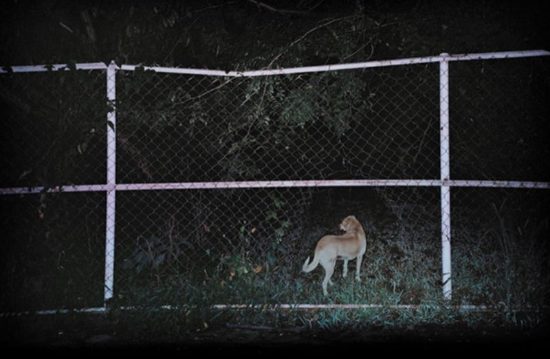 Omid Hosseini, Untitled, 2021