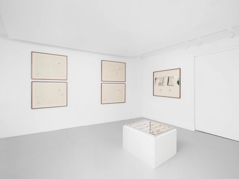 Hir o Vir, installation view