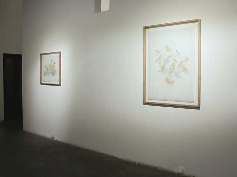 Skin, installation view