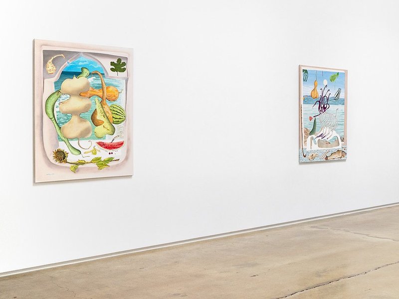 The Mutilated Gaze, installation view