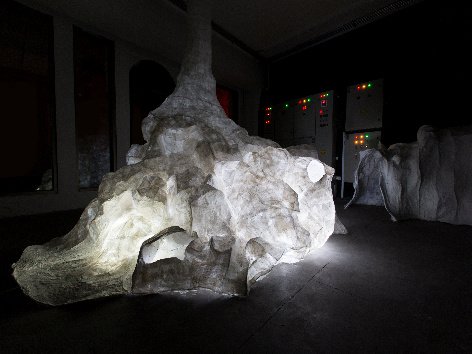 Memebrain, Installation view.