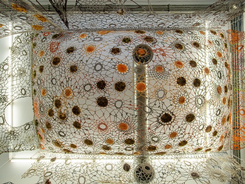 Dreams within Dreams, installation view