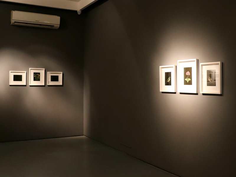 Dawn Chorus, installation view