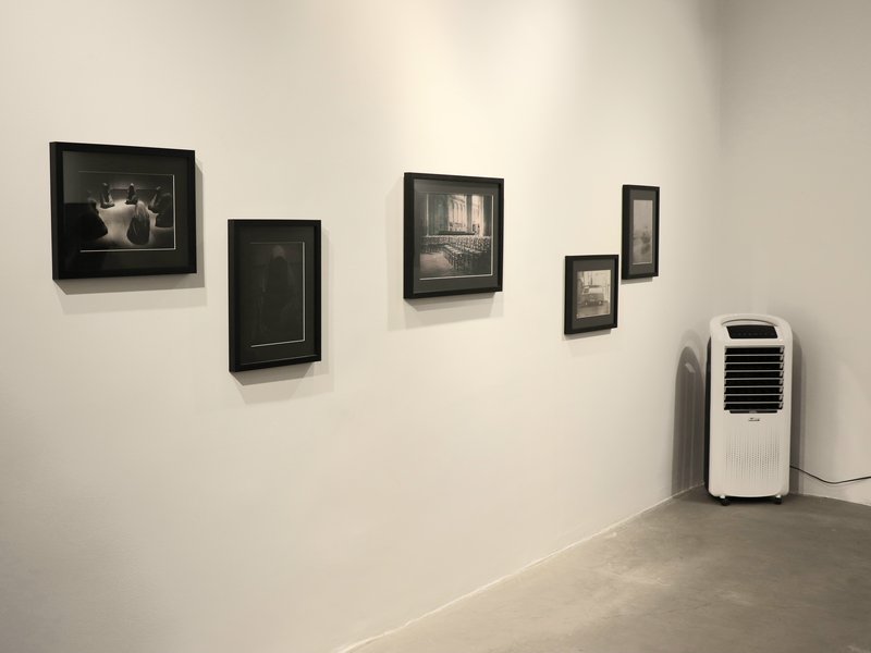Between Shadows and Light, installation view