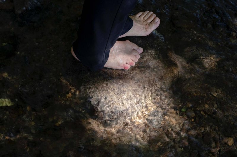 Mahtab Ghaedi, Untitled, 0