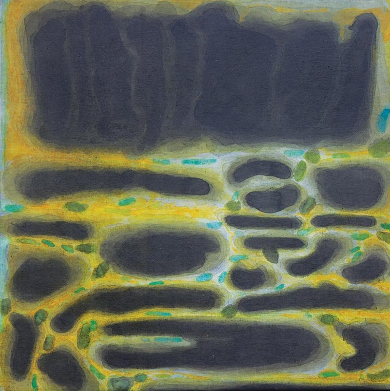 Faran Fereydouni, Untitled, 0