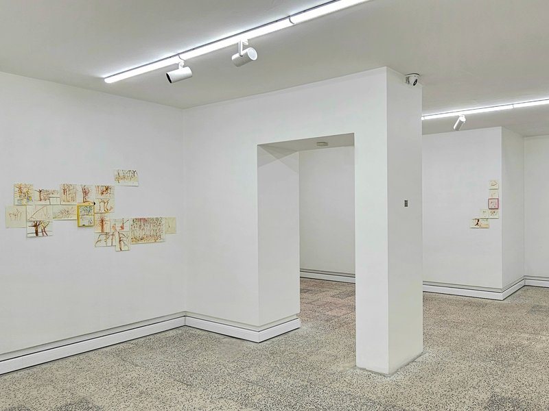 Refugee of Life, installation view