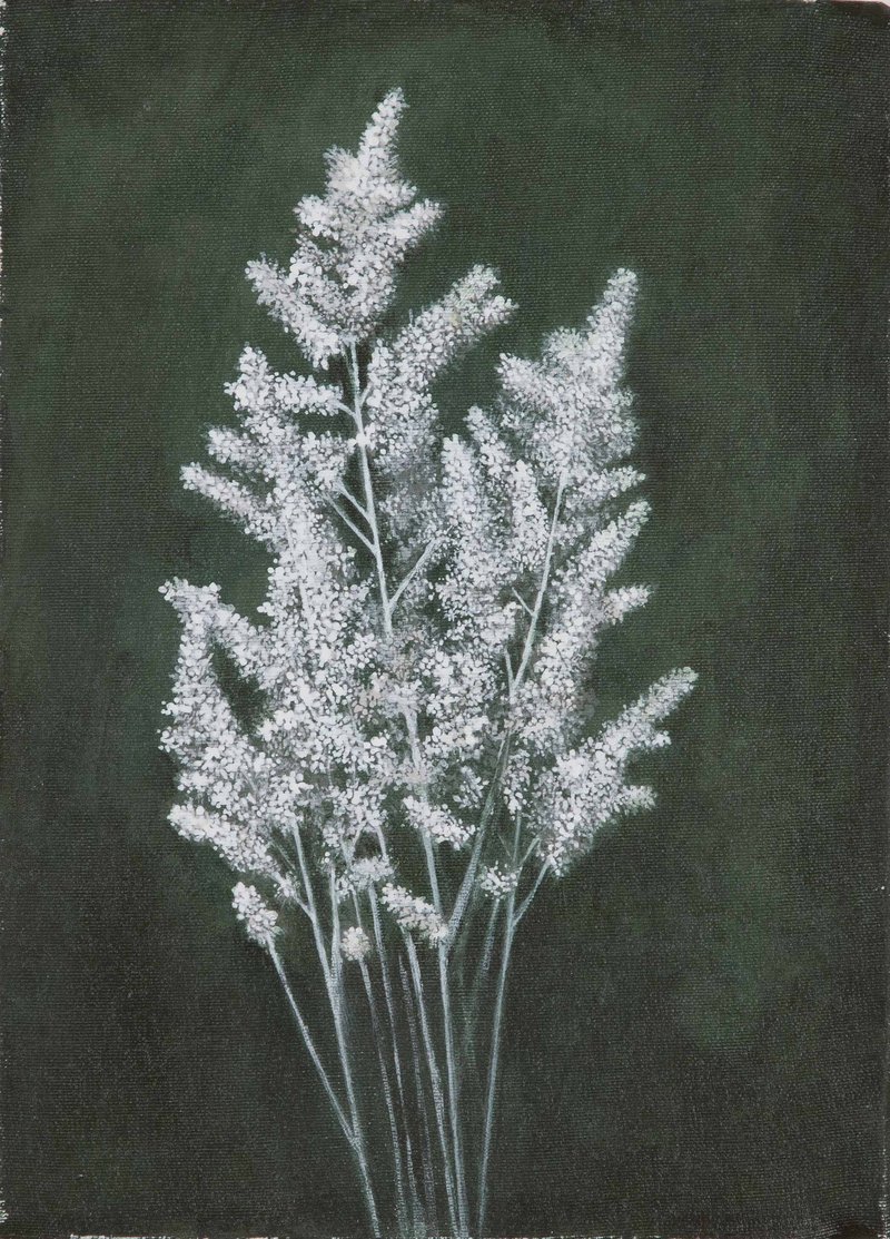 Shilan Salimi, Untitled, 0