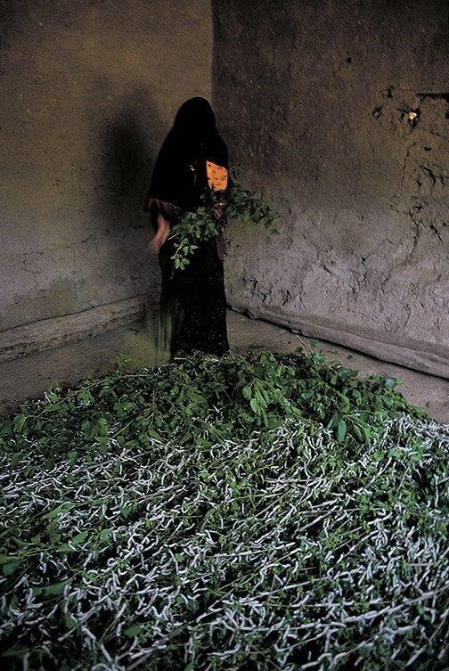 نصرالله کسرائیان، بدون عنوان