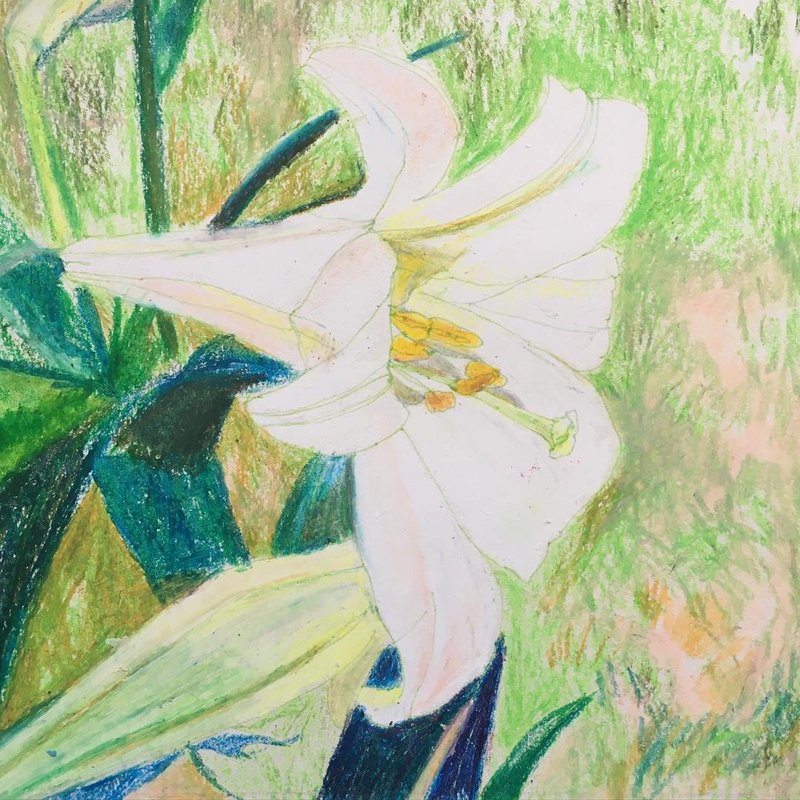 Mozhan Yaghoubi, Bright, Looks Like a Lilly, 2021
