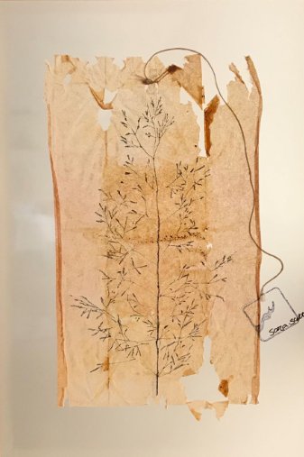 سارا سلطانی، بدون عنوان، 1400