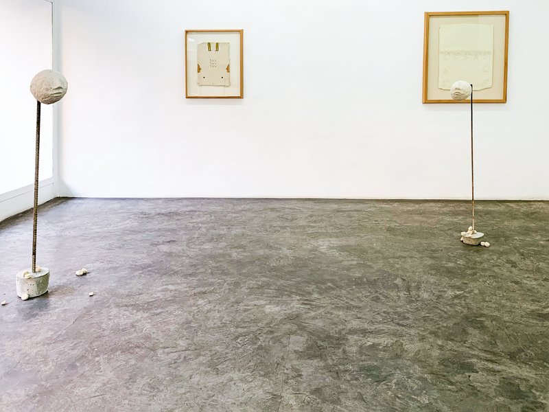 Vexilloid, installation view