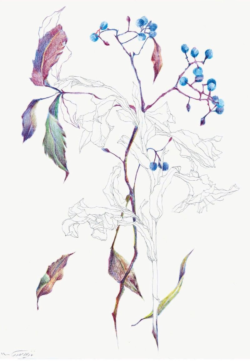 Nazila Moghadam, Untitled, 2021