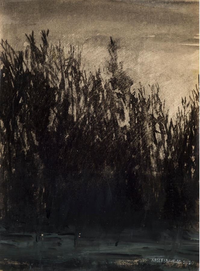 Abbas Nasleshamloo, The Land of No Sun 11, 2020