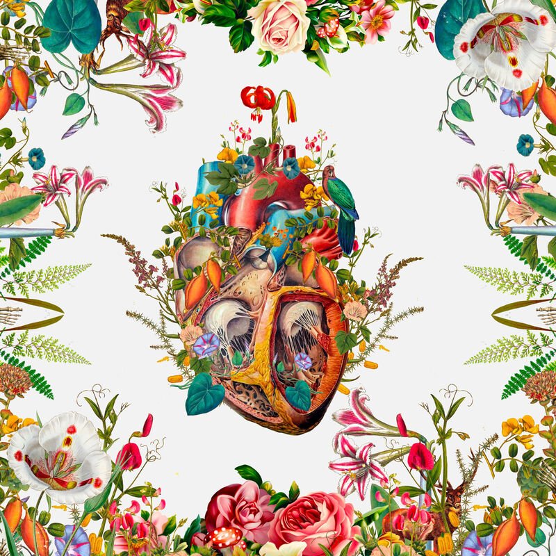 David Krovblit, Heart Growth, 2020