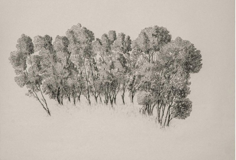 Mahsa Arabzadeh, Untitled, 2021