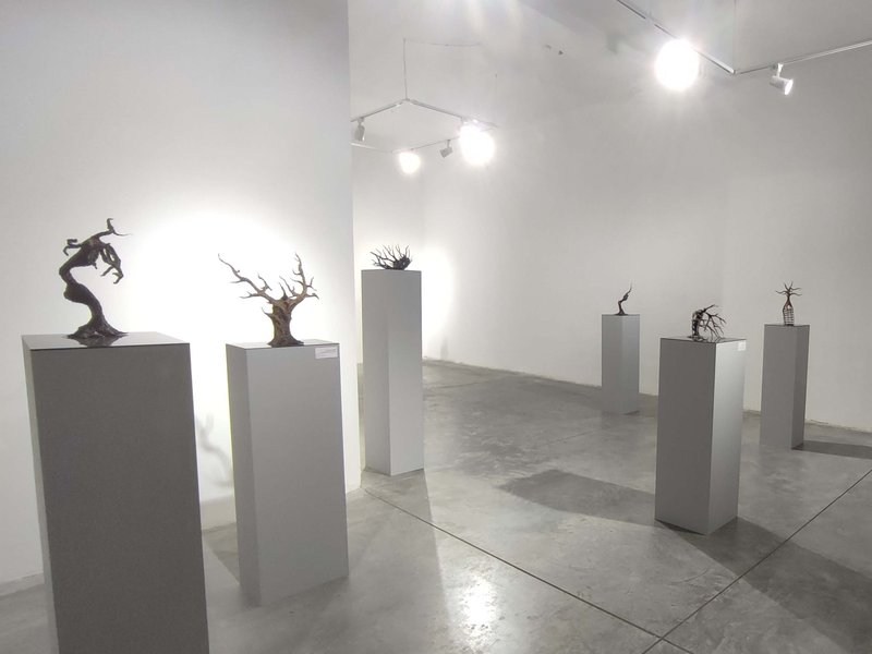 Migration, installation view