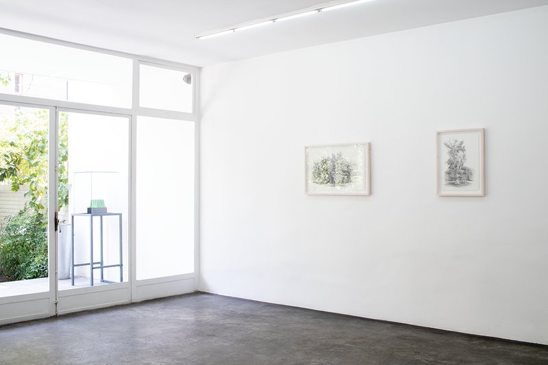 Always the Same Tree, installation view