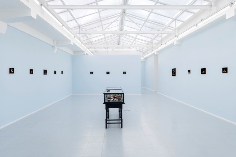 Cyanide, installation view