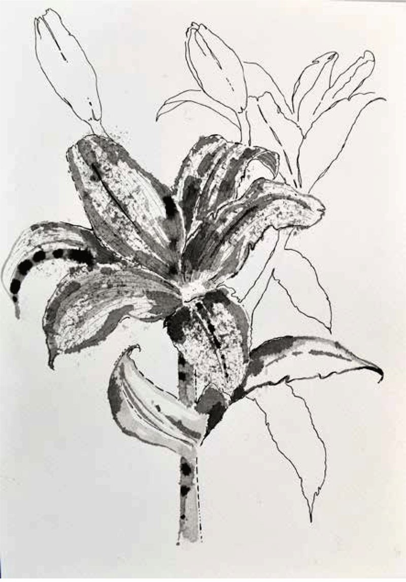 Shirin Karami Mofrad, Untitled, 2024