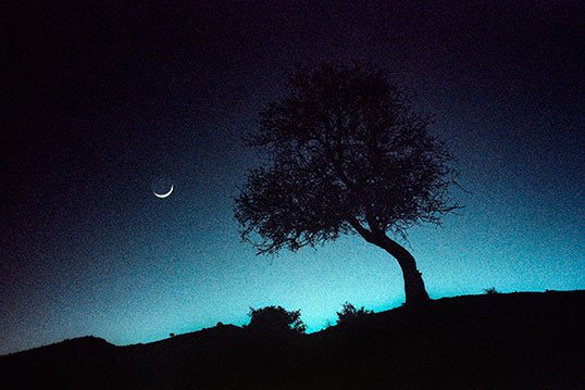 آرمان گلستانه، بدون عنوان