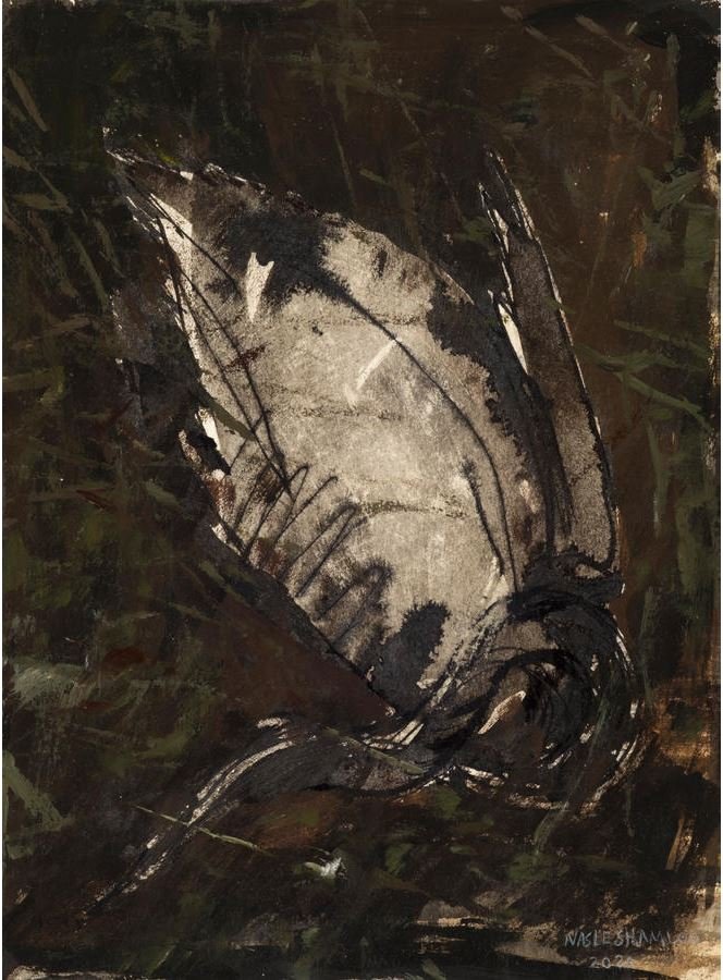 Abbas Nasleshamloo, The Land of No Sun 3, 2019