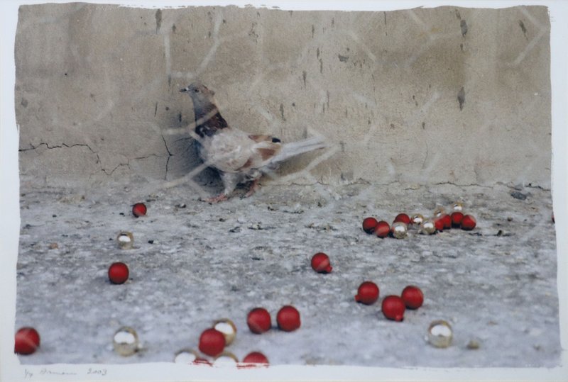 Arman Stepanian, Untitled, 2003