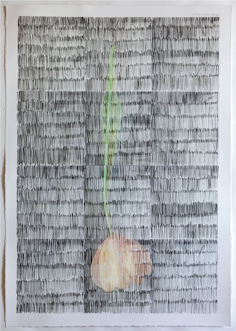 Sasan Abri, Untitled, 2020