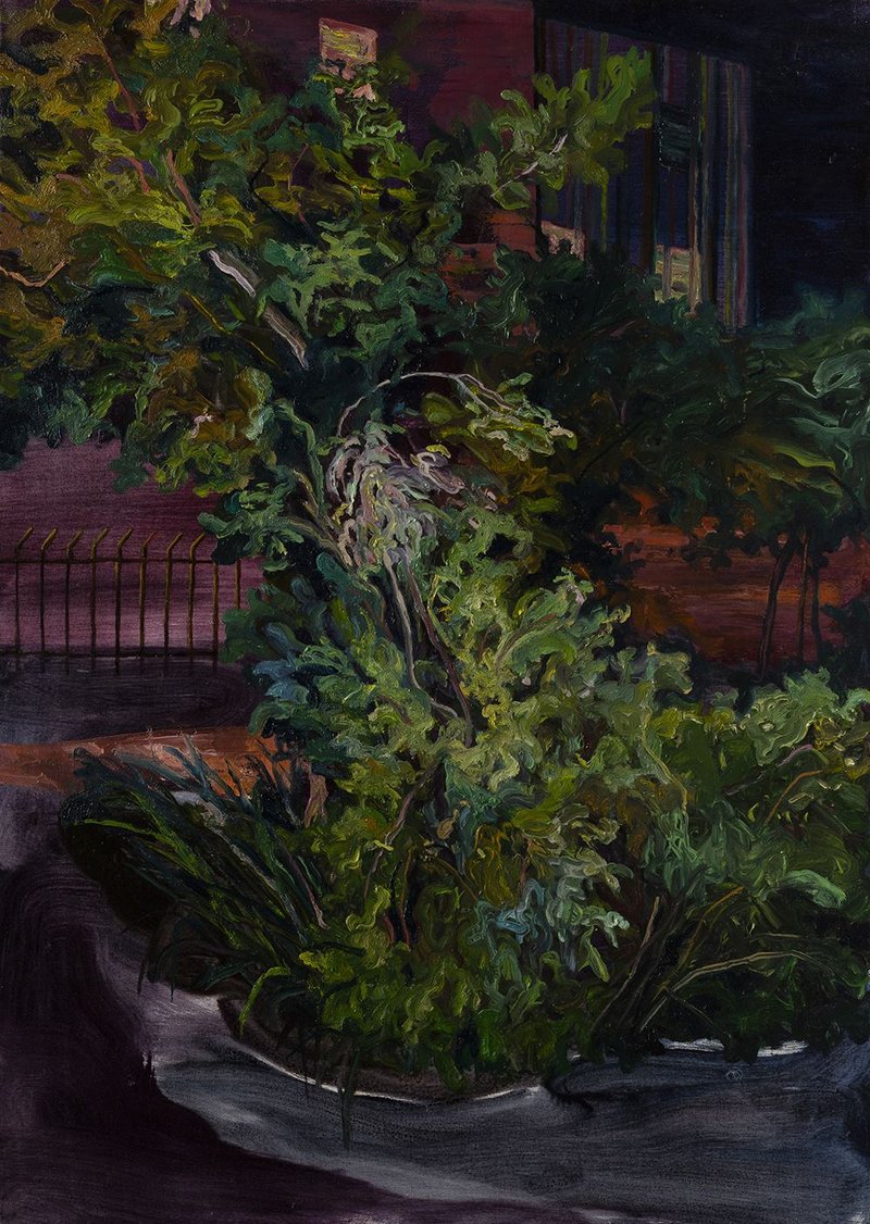Saeed Khaleghi, Untitled, 2020