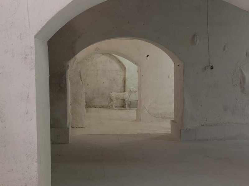 In My Beginning Is My End, installation view