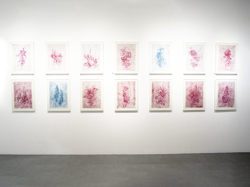 Parenthesis/The First Series, installation view