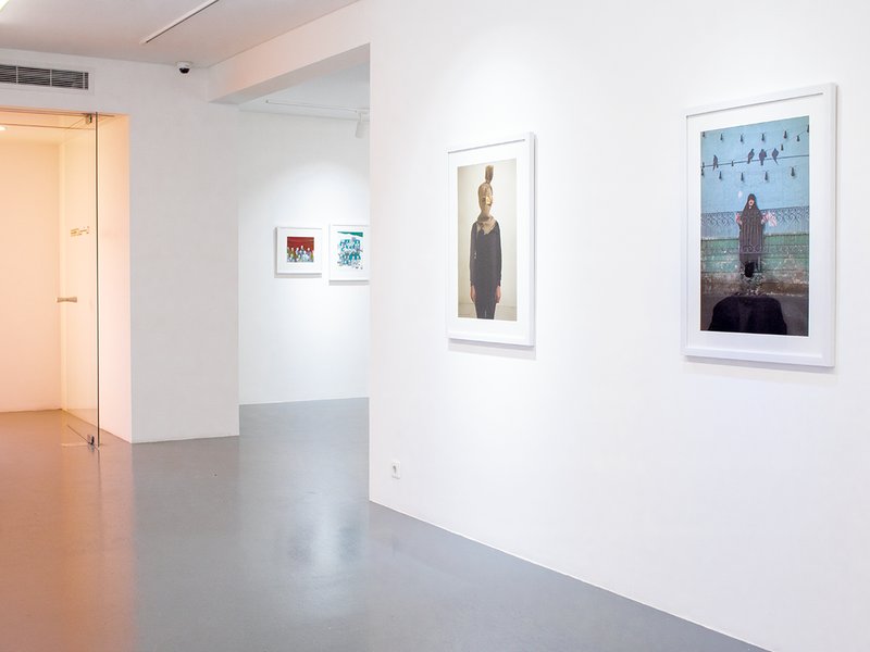Roots from the Sky, installation view