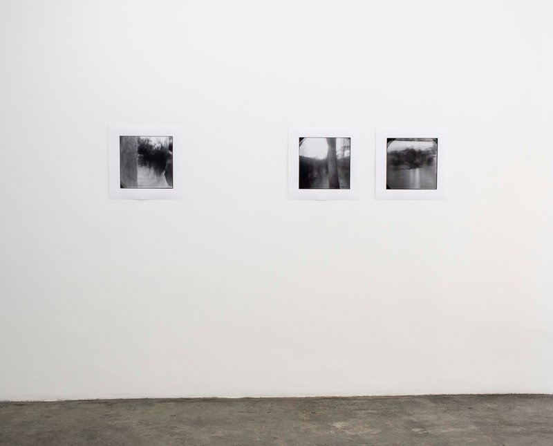 Soft Matter, installation view